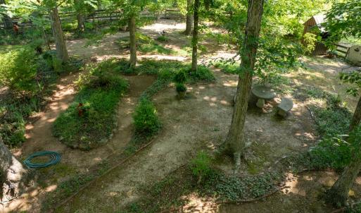 Photo #12 of 3859 Saxkey Road, Saxe, VA 21.8 acres