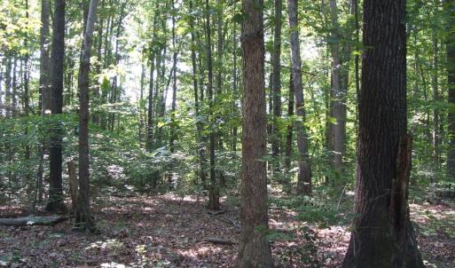 Photo #20 of 3859 Saxkey Road, Saxe, VA 21.8 acres