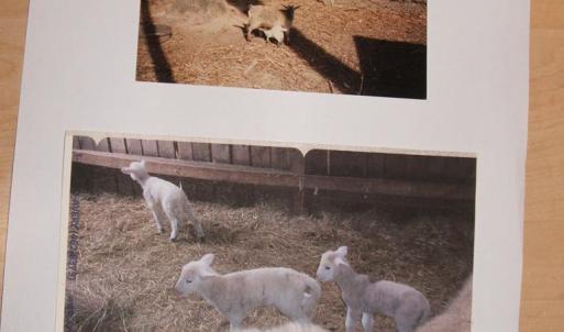Photo #60 of 3859 Saxkey Road, Saxe, VA 21.8 acres