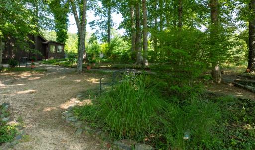 Photo #9 of 3859 Saxkey Road, Saxe, VA 21.8 acres