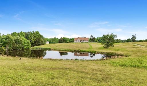 Photo #4 of 4948 Bible Rd, Crewe, VA 40.1 acres