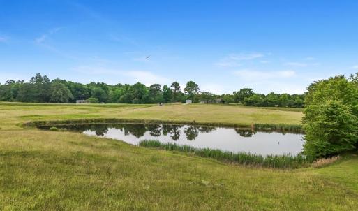 Photo #95 of 4948 Bible Rd, Crewe, VA 40.1 acres