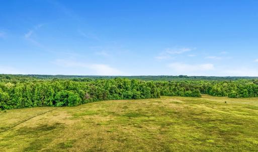 Photo #98 of 4948 Bible Rd, Crewe, VA 40.1 acres