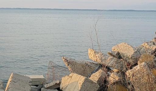 Photo #14 of 19423 SAXIS RD, SAXIS, VA 1.4 acres