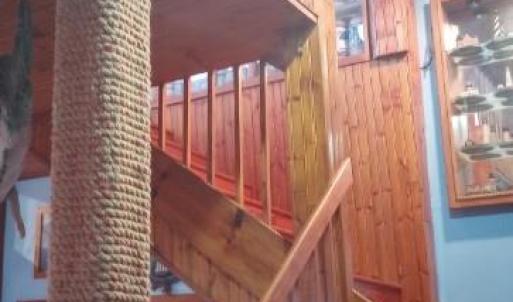 Photo #7 of 19423 SAXIS RD, SAXIS, VA 1.4 acres