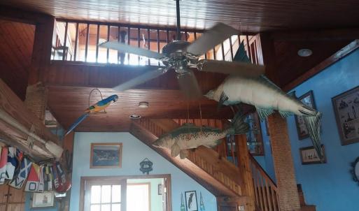 Photo #9 of 19423 SAXIS RD, SAXIS, VA 1.4 acres