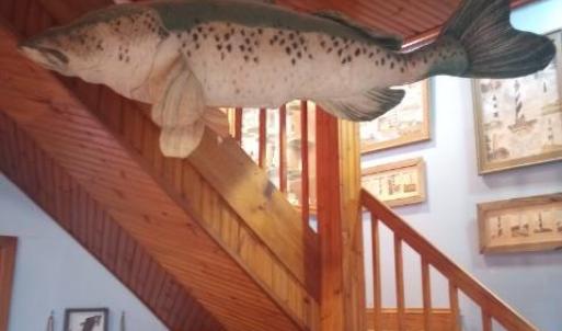 Photo #8 of 19423 SAXIS RD, SAXIS, VA 1.4 acres