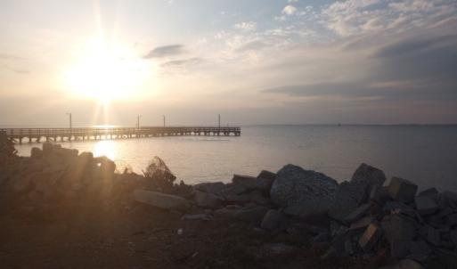 Photo #2 of 19423 SAXIS RD, SAXIS, VA 1.4 acres