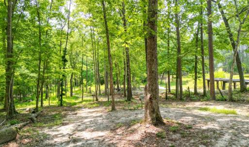 Photo #52 of 967 Ampthill Road, Cartersville, VA 10.0 acres