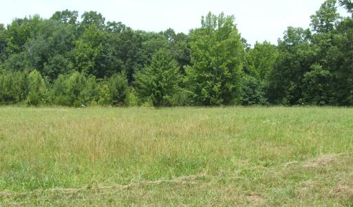 Photo #24 of 9625 Lunenburg County Road, Keysville, VA 25.2 acres