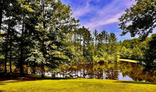 Photo #7 of 5280 Meherrin Rd., Meherrin, VA 24.7 acres