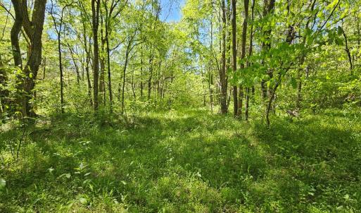 Photo #42 of 522 Saylers Hill Drive, Rice, VA 49.3 acres