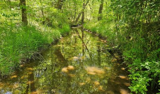 Photo #43 of 522 Saylers Hill Drive, Rice, VA 49.3 acres