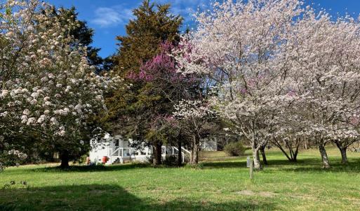Photo #56 of 522 Saylers Hill Drive, Rice, VA 49.3 acres