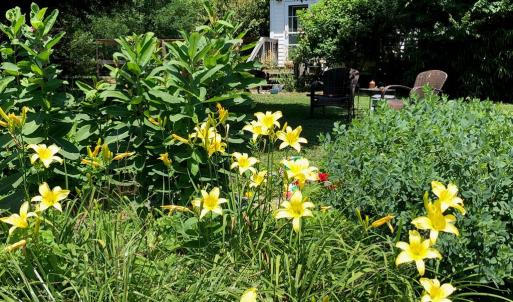 Photo #60 of 522 Saylers Hill Drive, Rice, VA 49.3 acres