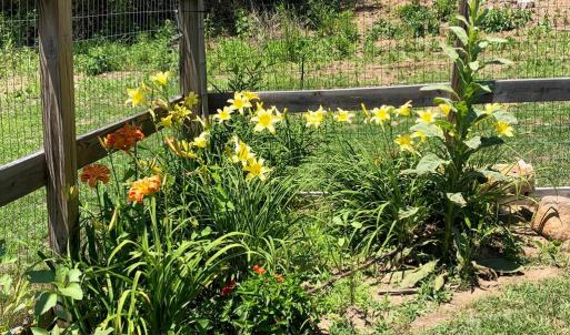 Photo #61 of 522 Saylers Hill Drive, Rice, VA 49.3 acres