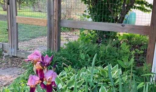 Photo #62 of 522 Saylers Hill Drive, Rice, VA 49.3 acres