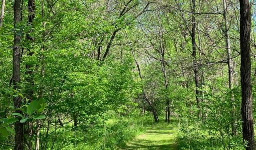 Photo #63 of 522 Saylers Hill Drive, Rice, VA 49.3 acres