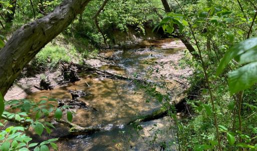 Photo #67 of 522 Saylers Hill Drive, Rice, VA 49.3 acres