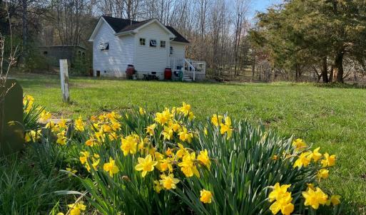 Photo #69 of 522 Saylers Hill Drive, Rice, VA 49.3 acres