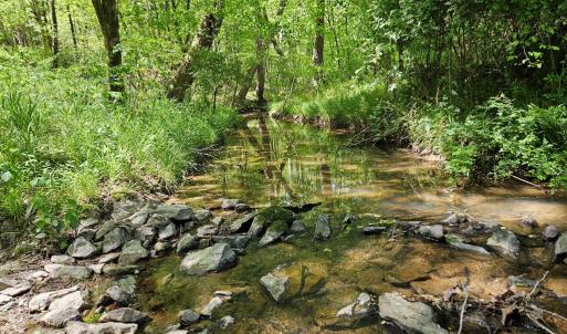 Photo #74 of 522 Saylers Hill Drive, Rice, VA 49.3 acres