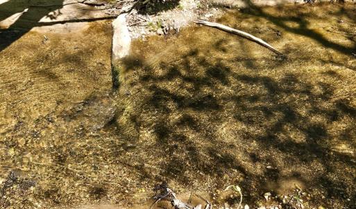 Photo #79 of 522 Saylers Hill Drive, Rice, VA 49.3 acres