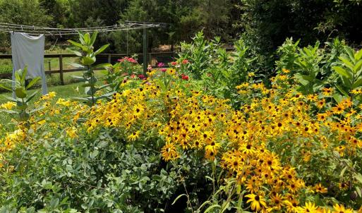 Photo #8 of 522 Saylers Hill Drive, Rice, VA 49.3 acres