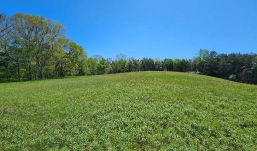 Photo #9 of 522 Saylers Hill Drive, Rice, VA 49.3 acres