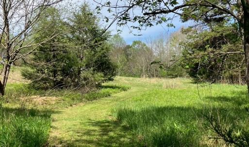 Photo #65 of 522 Saylers Hill Drive, Rice, VA 49.3 acres
