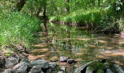 Photo #66 of 522 Saylers Hill Drive, Rice, VA 49.3 acres