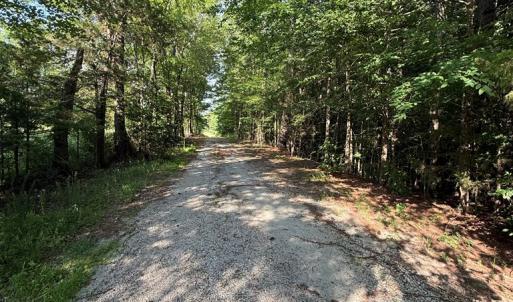 Photo #3 of 1547 Wilson Rd, LaCrosse, VA 20.7 acres