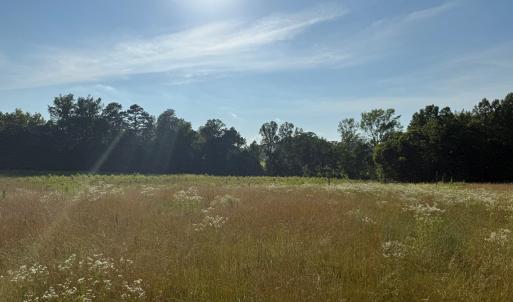 Photo #5 of 1547 Wilson Rd, LaCrosse, VA 20.7 acres