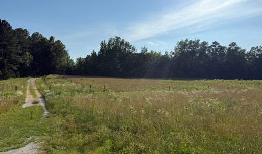 Photo #9 of 1547 Wilson Rd, LaCrosse, VA 20.7 acres