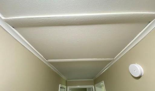 Photo #37 of 26460 Highway Forty-Seven, South Hill, VA 1.0 acres