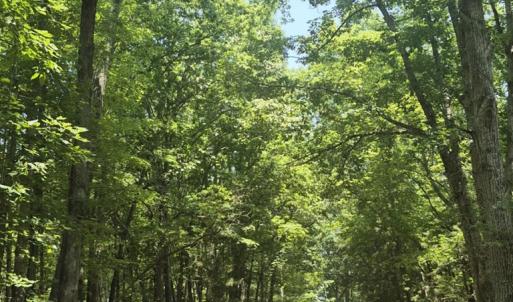 Photo #3 of 1481 Tidewater, Keysville, VA 5.8 acres