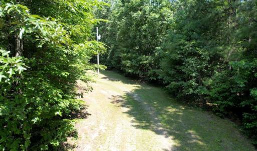 Photo #12 of 4554 PLANK RD, Kenbridge, VA 34.1 acres