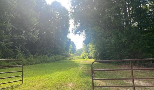 Photo #13 of 4554 PLANK RD, Kenbridge, VA 34.1 acres