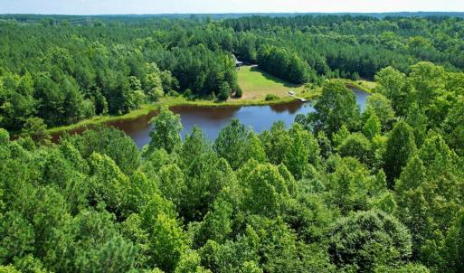 Photo #2 of 4554 PLANK RD, Kenbridge, VA 34.1 acres