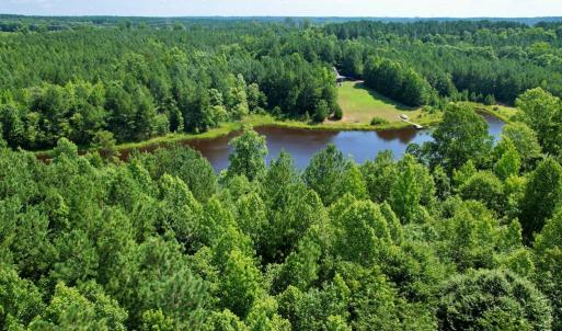 Photo #3 of 4554 PLANK RD, Kenbridge, VA 34.1 acres