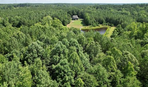 Photo #8 of 4554 PLANK RD, Kenbridge, VA 34.1 acres