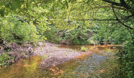 Photo #7 of 1967 Cub Creek Rd, Appomattox, VA 70.8 acres