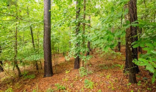 Photo #45 of 450 Sunrise Lane, Rice, VA 3.3 acres