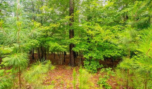 Photo #46 of 450 Sunrise Lane, Rice, VA 3.3 acres