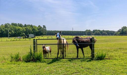 Photo #59 of 3261 Alvis, LaCrosse, VA 15.0 acres