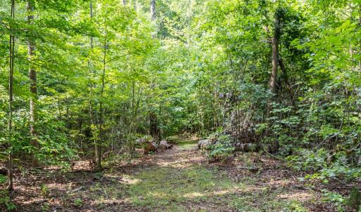 Photo #43 of 11766 Five Forks, Farmville, VA 8.7 acres