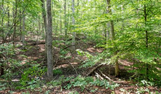 Photo #44 of 11766 Five Forks, Farmville, VA 8.7 acres