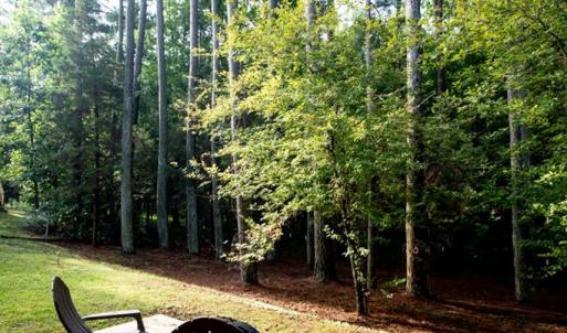 Photo #52 of 107 Cabells Court, Farmville, VA 0.4 acres