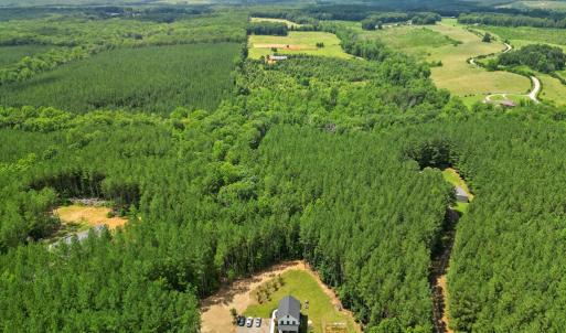 Photo #42 of 1997 Rocks Church Rd., Pamplin, VA 11.0 acres
