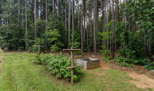 Photo #57 of 1997 Rocks Church Rd., Pamplin, VA 11.0 acres