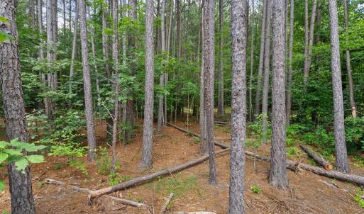 Photo #60 of 1997 Rocks Church Rd., Pamplin, VA 11.0 acres